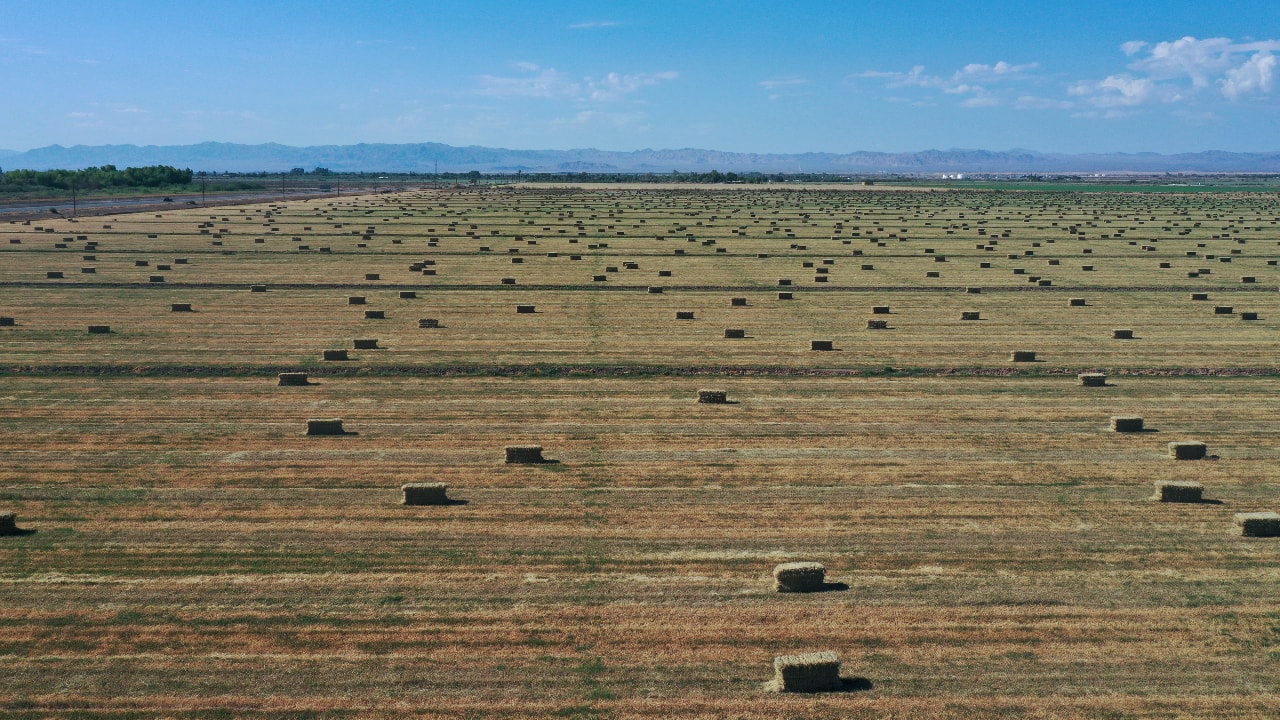 An aerial view shows agricultural fields as California faces its worst drought since 1977, in Mundo, California. (PC-REUTERS/Aude Guerrucci)
