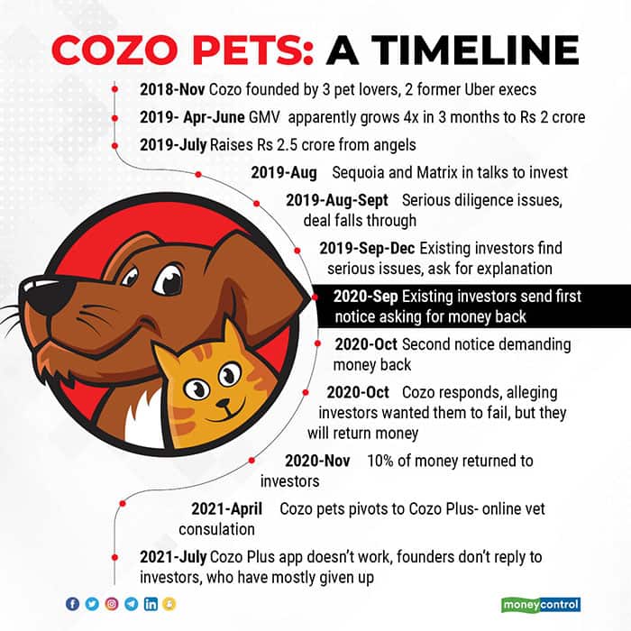 Cozo-Pets-A-Timeline