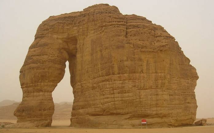 (Photo by Pteropus Conspicillatus via Wikimedia Commons 3.0)