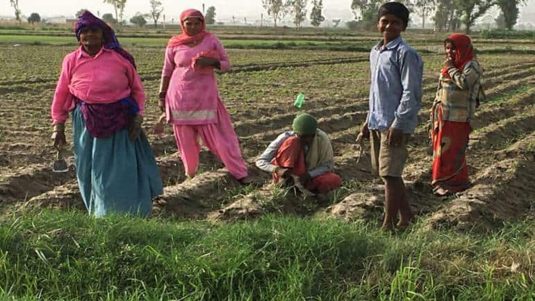 UN report warns India heading towards groundwater depletion tipping point - Vimarsana News