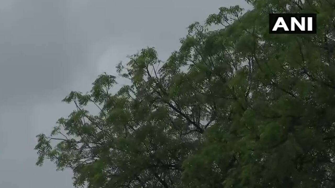 The Southwest Monsoon finally reached the capital Tuesday, 16 days behind the usual date of onset, making it the most-delayed in 19 years, according to the India Meteorological Department (IMD). (Image: ANI)