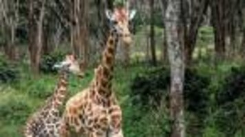 9 international cities you can explore in less than Rs 75,000