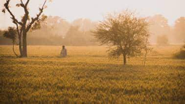 Farm laws repealed: It’s game wide open in Punjab Farm laws repealed: It’s game wide open in Punjab