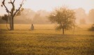 Farm laws repealed: It’s game wide open in Punjab