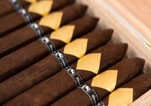 All you ever wanted to know about cigars