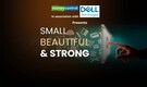 Small, Beautiful & Strong | Working Capital