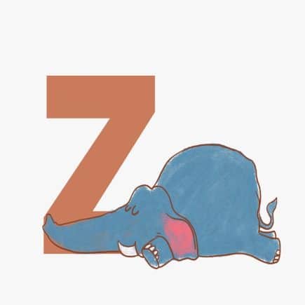 zzzzz