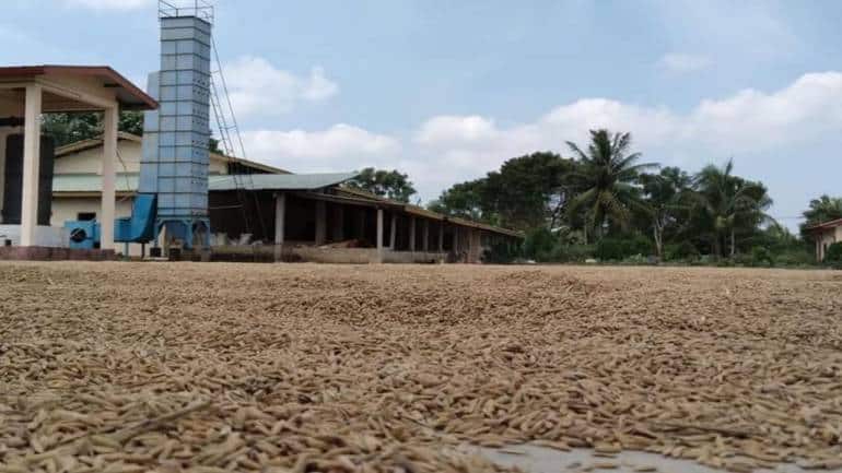 Can biofuels be the solution for the world’s carbon challenge? 