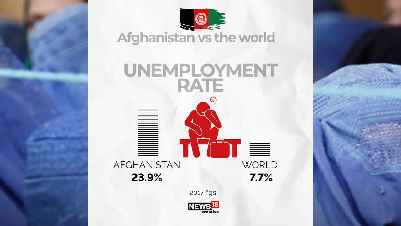 Unemployment rate in Afghanistan vs the world. (Image: News18 Creative) Unemployment rate in Afghanistan vs the world. (Image: News18 Creative)