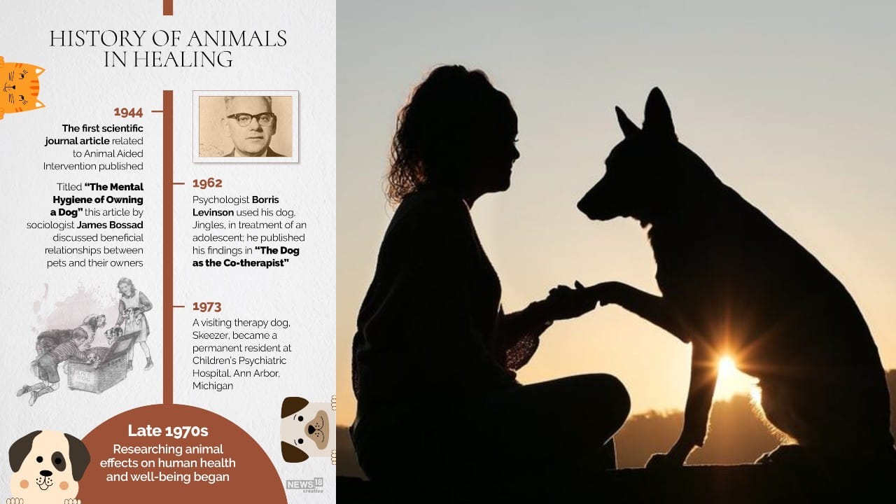 International Dog Day | The science behind why dogs are good for you