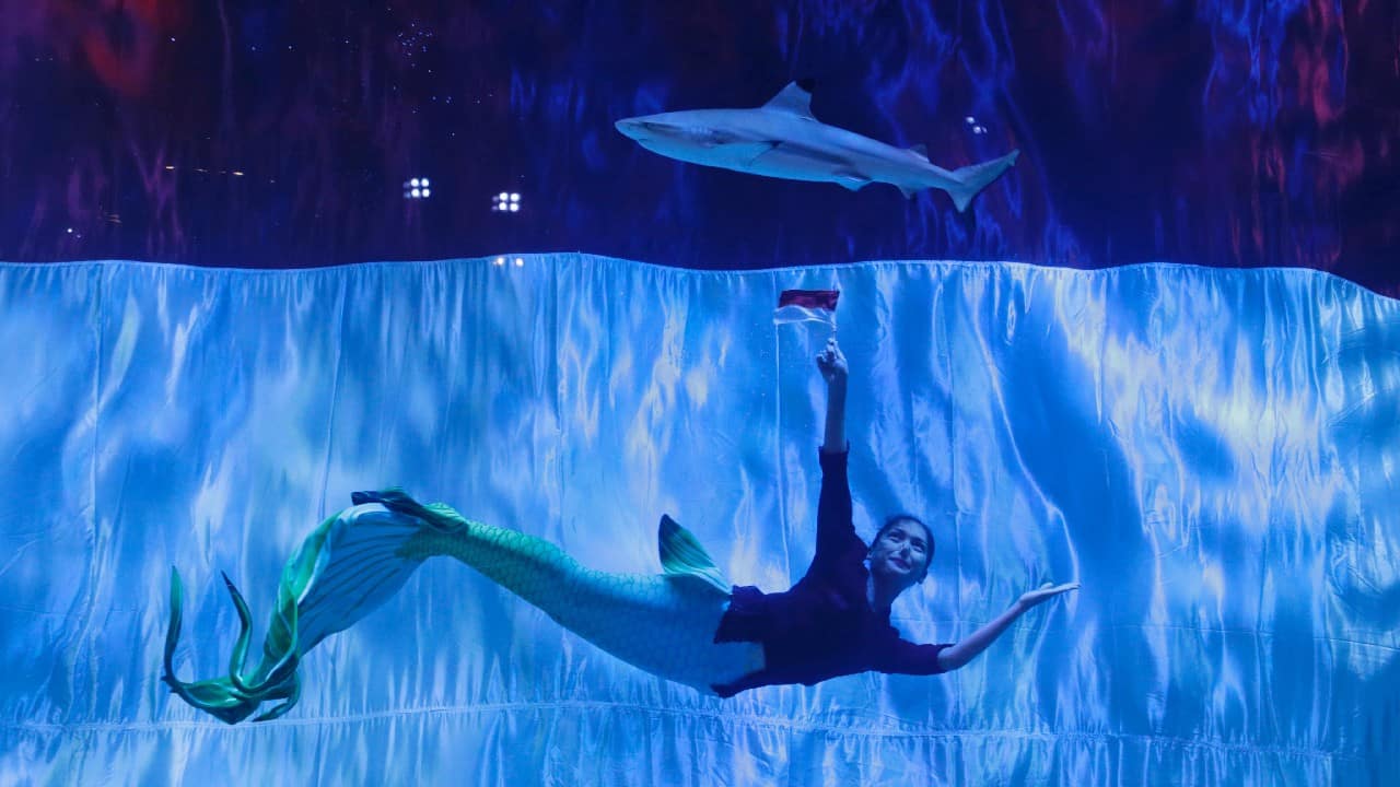 A diver performs near the Indonesian flag during an underwater celebration of Indonesia's 76th Independence Day at an aquarium in Jakarta, Indonesia, August 17. (Image: Reuters)