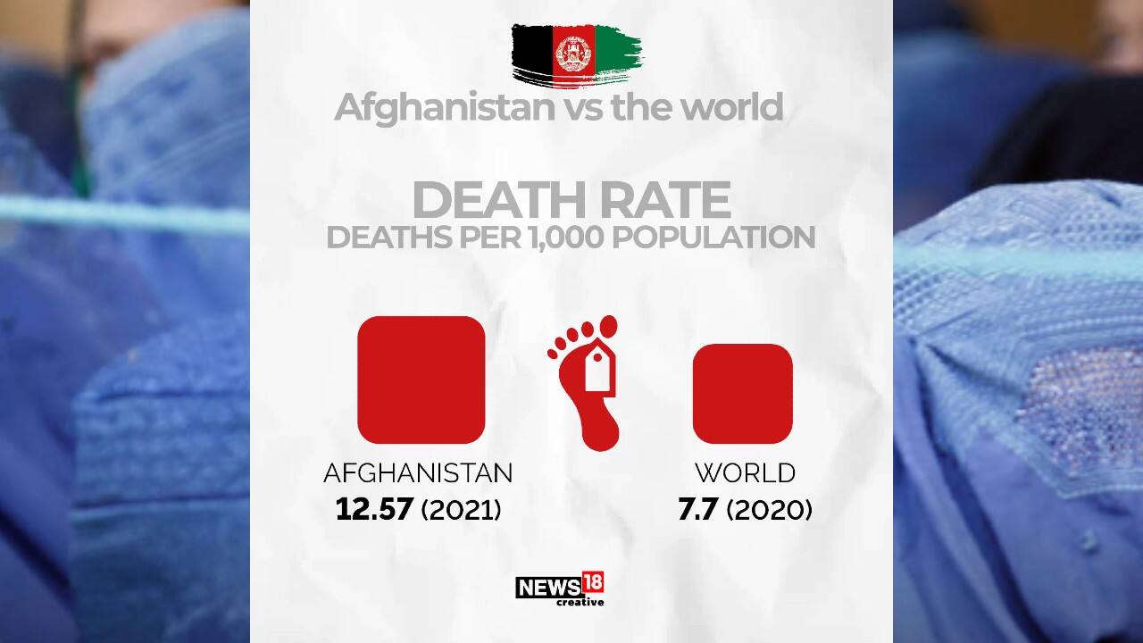 Death rate in Afghanistan vs the world. (Image: News18 Creative) Death rate in Afghanistan vs the world. (Image: News18 Creative)