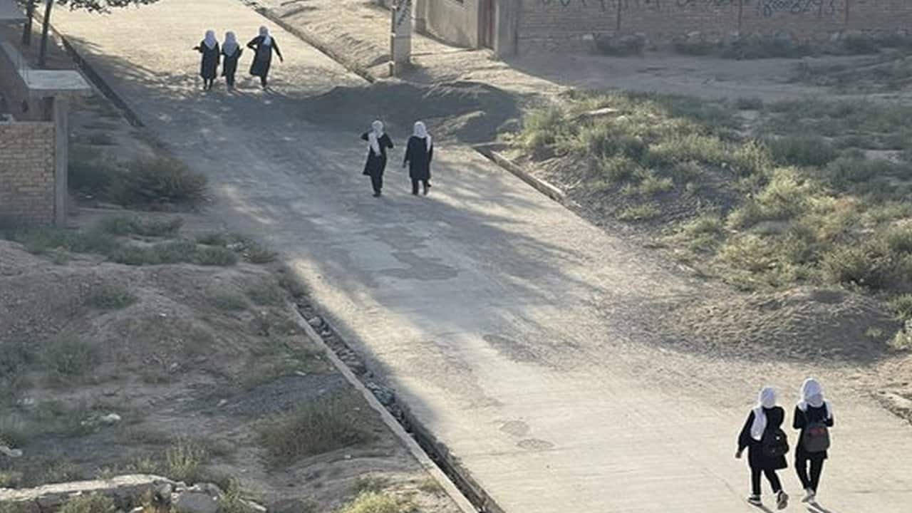 School children's in Afghanistan going to school in the mornig under Taliban rule. (Image: Wikipedia)