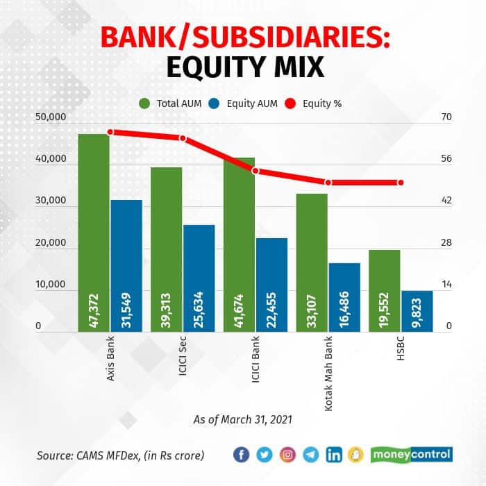 Bank Subsidiaries Equity Mix