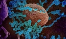 How Omicron, the New COVID-19 Variant, Got Its Name How Omicron, the New COVID-19 Variant, Got Its Name