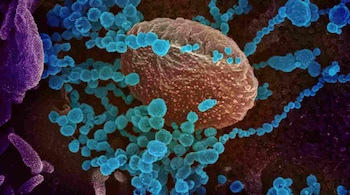 (Representative image: Reuters)