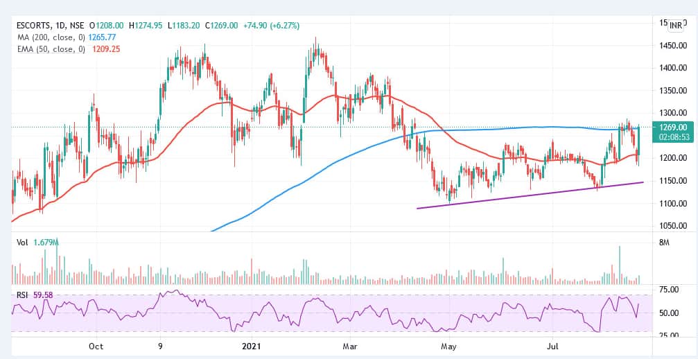 Escorts 25 Aug