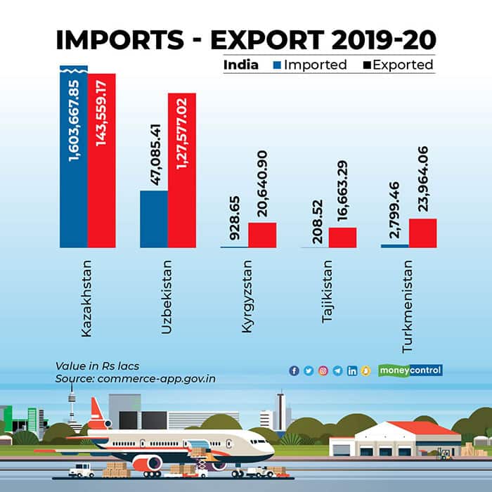 Imports Export 2019-20