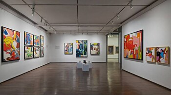 Installation view of polychromes painted by Mehlli Gobhai in the 1970s. The paintings are part of the 'Mehlli Gobhai: Epiphanies' show at the Chemould Prescott Road, Mumbai, till August 31, 2021.