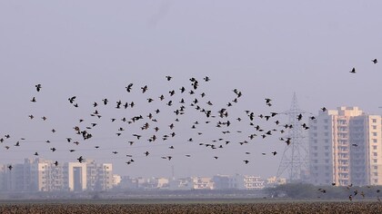 Nature-based solutions hold the key to transform our cities into resilient spaces
