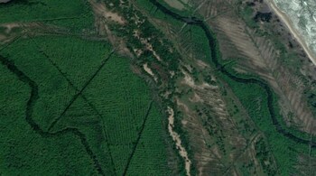 Mangroves reduce coastal incursion, seawater ingress, sea-level rise, cyclonic storms and tsunamis. Natural ecosystems such as mangroves, sand dunes, coral reefs, submarine rocks and seagrass came to be referred to as “bio shields” in a post-tsunami world.