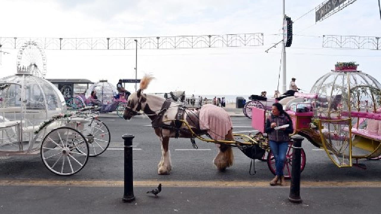 Surveys by Britain's tourism board have indicated that domestic holidaymakers have preferred traditional coastal towns this summer. Rail and coach companies have recorded strong demand for other classic destinations such as Brighton and Bournemouth in southern England, and Scarborough in the north. (Image: AFP) , Domestic tourism boom gives UK seaside new lease of life amid COVID-19 blues, The World Live Breaking News Coverage & Updates IN ENGLISH