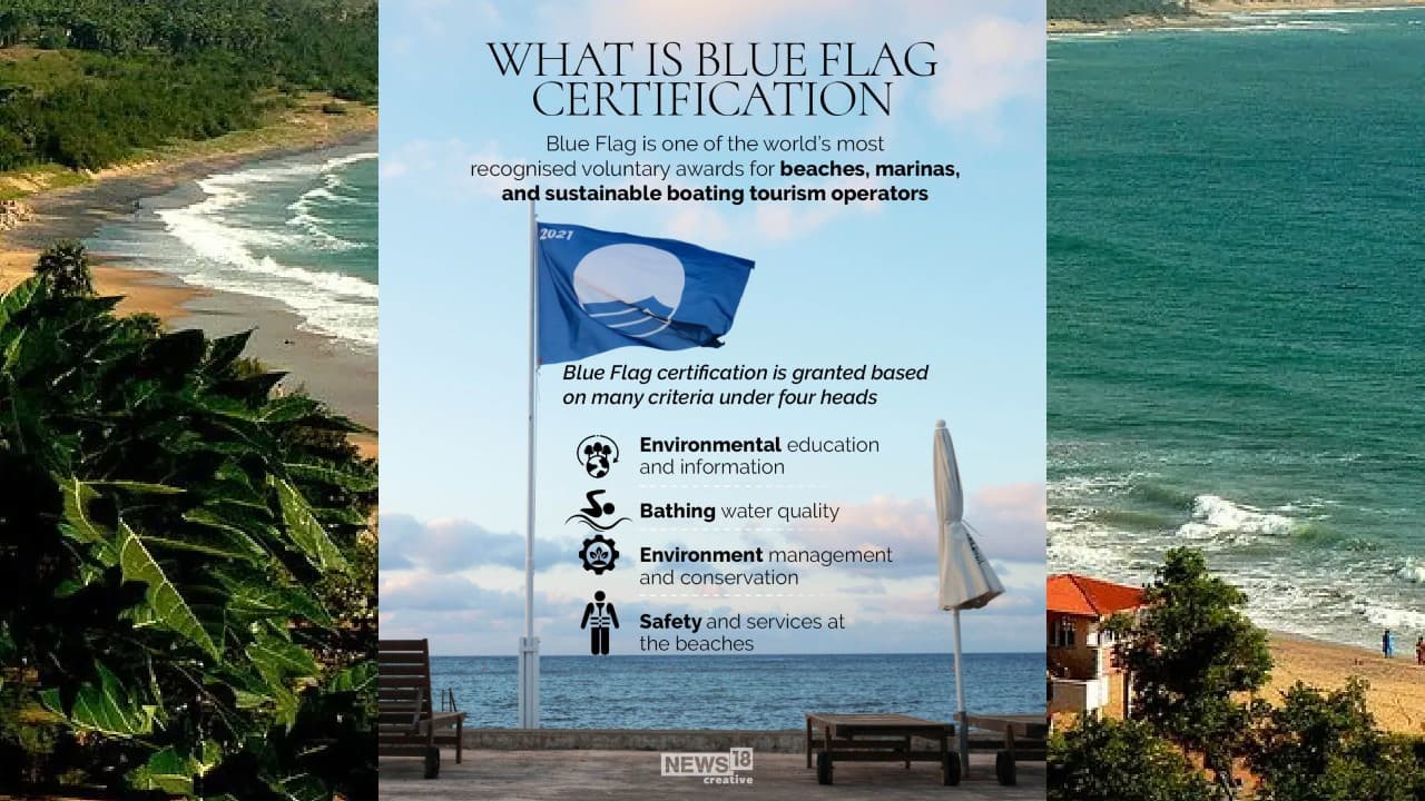 Blue Flag is one of the world’s most recognized voluntary awards for beaches, marinas, and sustainable boating tourism operators. (Image: News18 Creative)