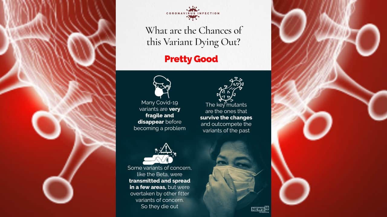 Many COVID-19 variants are very fragile and disappear before becoming a problem. The key mutants are the ones that survive the changes and outcompete the variants of the past. (Image: News18 Creative)