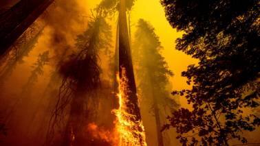 The Green Pivot: US intelligence predicts dire consequences for India from climate change