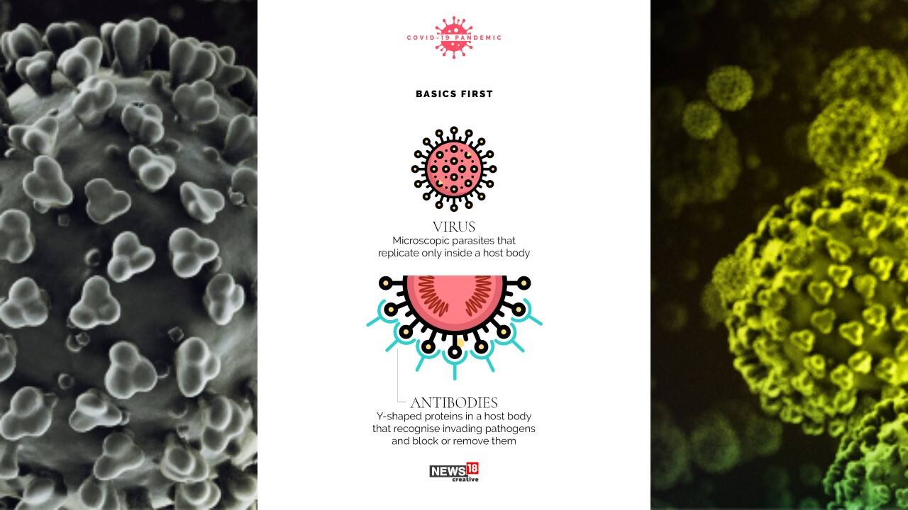 COVID-19 | Hours after Mumbai announces detection of XE variant, Centre denies report citing INSACOG analysis