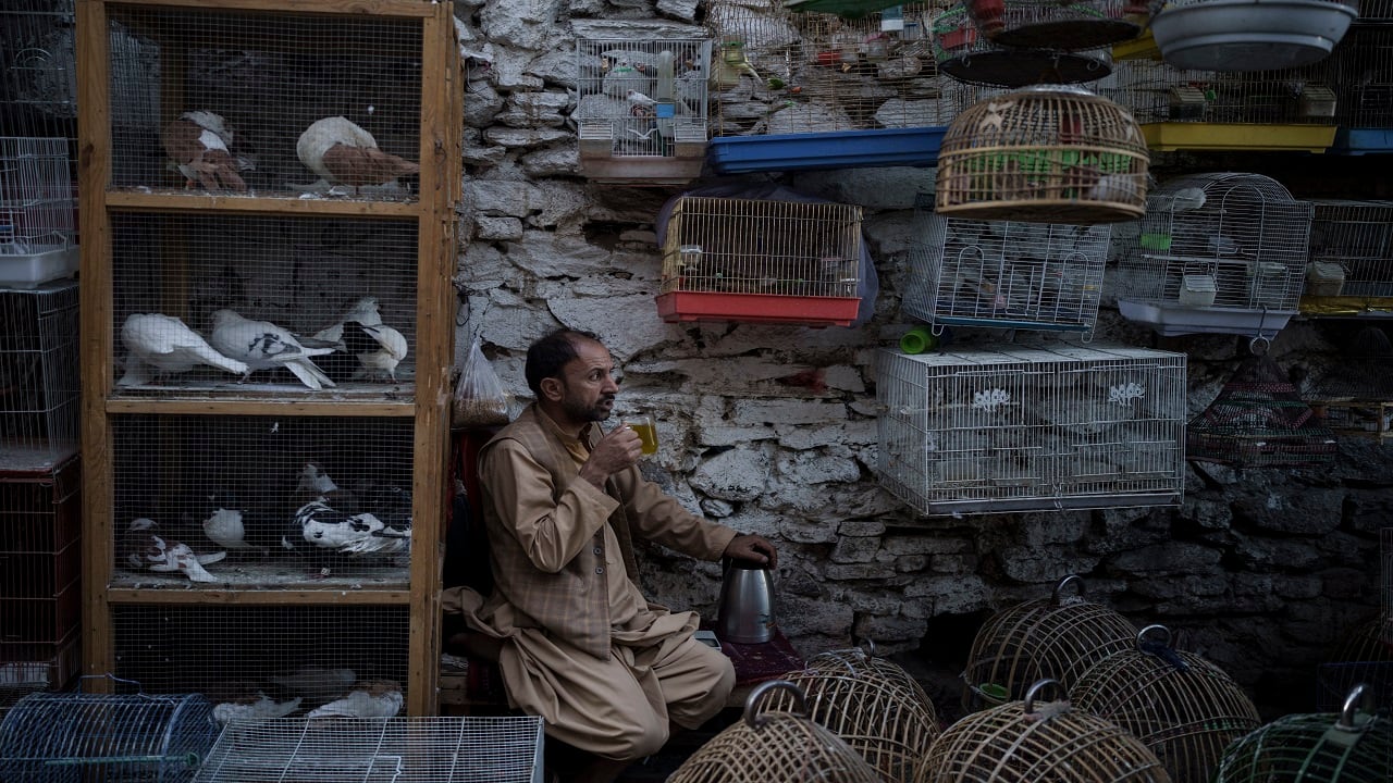 A bird vendor drinks tea as he waits for customers in Kabul's Old City, Afghanistan. (AP Photo/Felipe Dana)