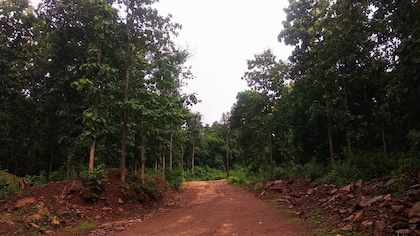 Iron ore mining in Chhattisgarh drives deforestation