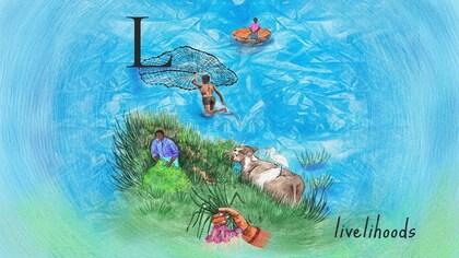 A to Z guide to Bengaluru’s lakes