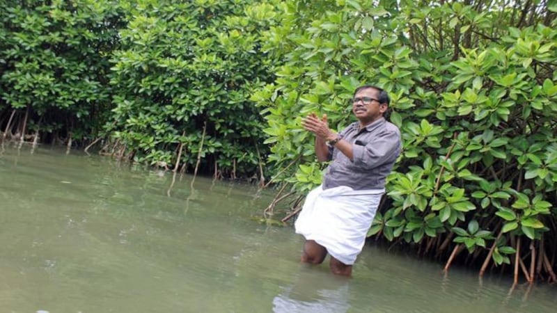 Keeping alive a mangrove conservationist’s legacy to protect Kerala coast