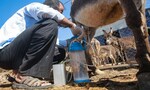 Man quits IT job to open donkey milk farm, gets orders worth Rs 17 lakh