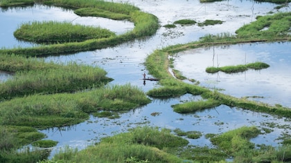 India establishes the largest network of Ramsar Sites in South Asia