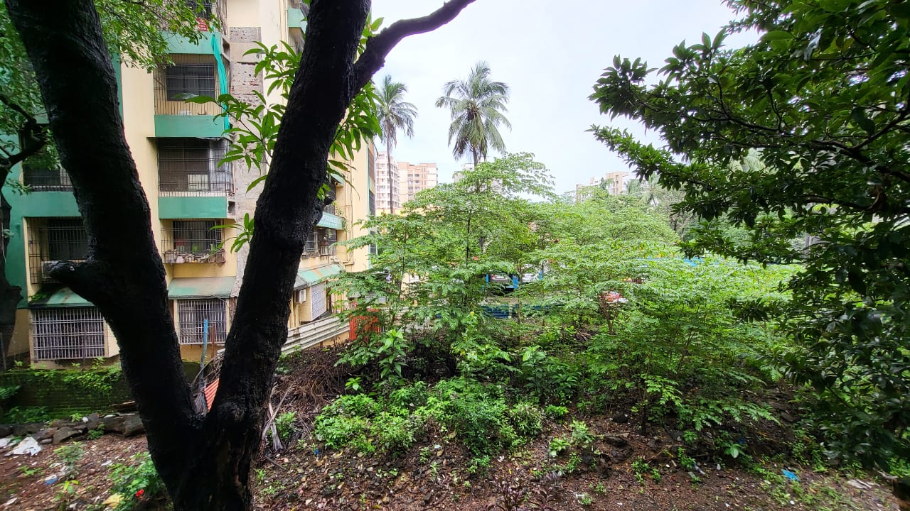 For a budget smartphone, the Redmi 10 Prime’s ultrawide camera was above average with less edge softening and good detail. The macro camera can be mildly effective in daylight but often tends to miss the mark. 