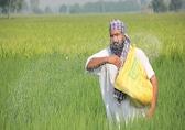Budgeted allocation for fertilisers in FY24 squeezed on fight fiscal consolidation roadmap