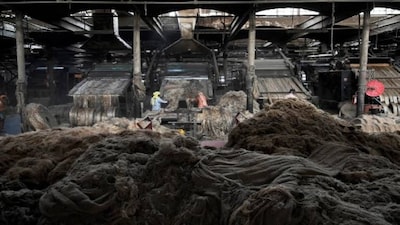 Centre increases MSP on raw jute by Rs 315 to Rs 5,650 per quintal for 2025-26 season