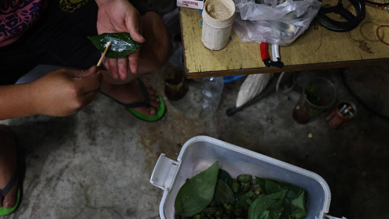Chien estimates he will only harvest 600 kg (1,300 lb) of tea this year, half of last year's crop, due to the drought and rain, but says he is determined not to be beaten. "These trees are what fed me and brought me up. In return I want to try my best to take good care of them too." (Image: Reuters) Chien estimates he will only harvest 600 kg (1,300 lb) of tea this year, half of last year's crop, due to the drought and rain, but says he is determined not to be beaten. "These trees are what fed me and brought me up. In return I want to try my best to take good care of them too." (Image: Reuters)