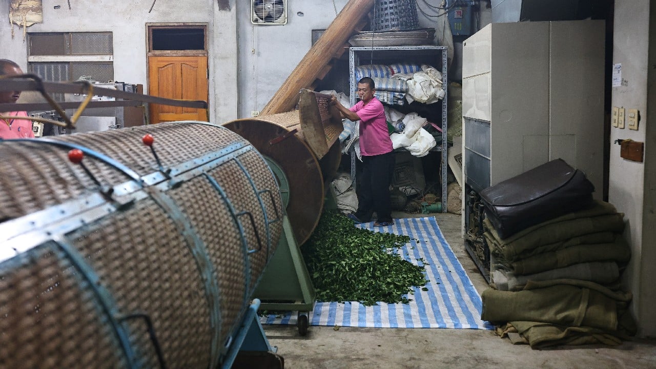 However, whether or not what is happening in Taiwan's tea country is directly related to climate change remains an area for debate. (Image: Reuters) However, whether or not what is happening in Taiwan's tea country is directly related to climate change remains an area for debate. (Image: Reuters)
