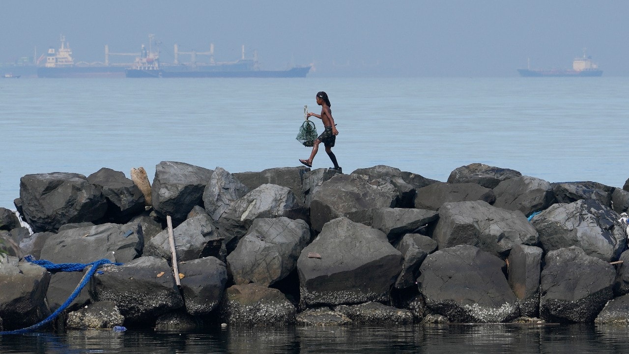 A boy holds his day's catch of crabs as he walks along the breakwater in Manila, Philippines on September 25. (Image: AP)