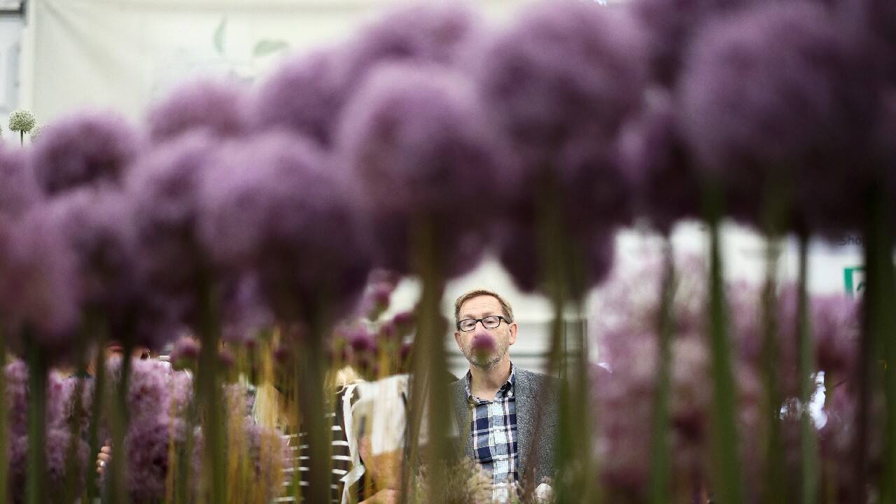 A visitor views a floral display while attending the final day of the Chelsea Flower Show, delayed from its usual spring dates because of the lockdown restrictions amid the spread of the coronavirus disease (COVID-19) pandemic in London, Britain, September 26. (Image: Reuters)