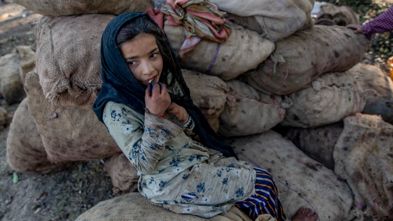 Kulsum Banoo, a Kashmiri villager, eats walnuts as she takes a break from shelling the nuts in Budgham area, northeast of Srinagar, September 25. (Image: AP)