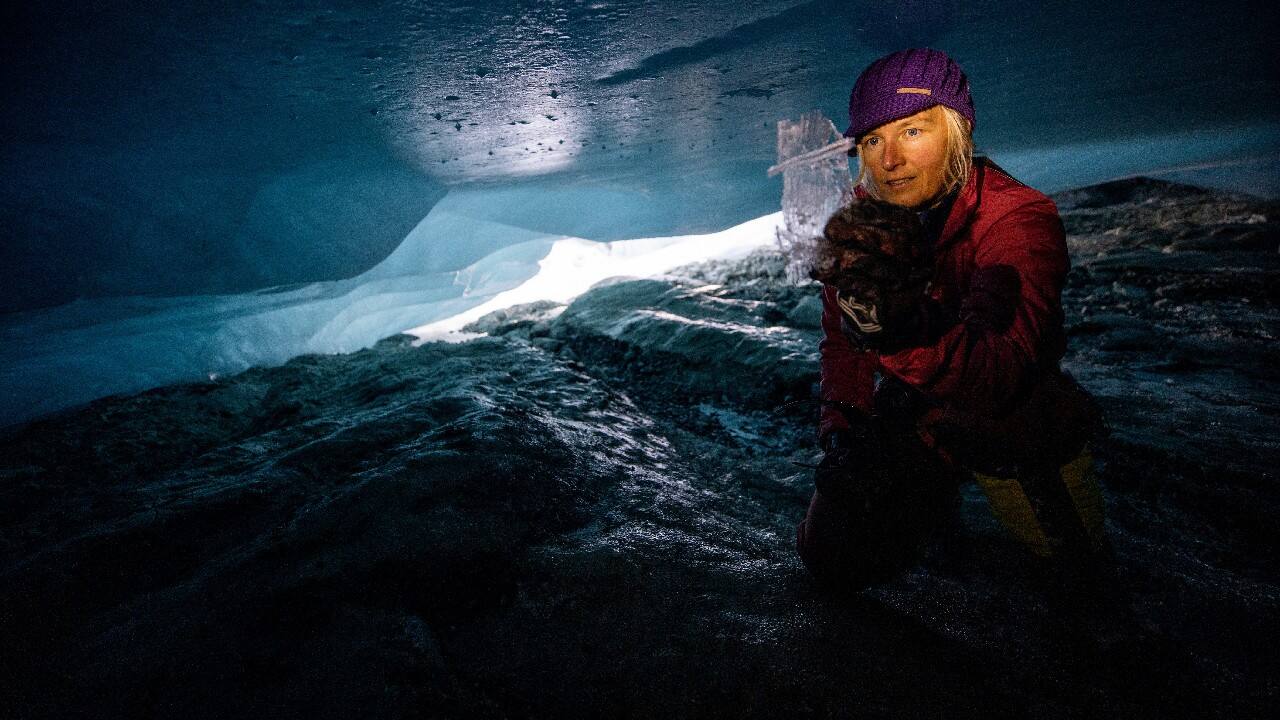 "We can't do anything anymore for eastern Alpine glaciers. But here we can see what happens if we do nothing for the other glaciers," said Andrea Fischer, who brought a photographer into the caverns beneath the Jamtalferner glacier in the Tyrolean Alps, towering above the Austrian border with Switzerland. (Image: Reuters) "We can't do anything anymore for eastern Alpine glaciers. But here we can see what happens if we do nothing for the other glaciers," said Andrea Fischer, who brought a photographer into the caverns beneath the Jamtalferner glacier in the Tyrolean Alps, towering above the Austrian border with Switzerland. (Image: Reuters)