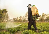 EU seeks to halve use of pesticides, heal nature with landmark laws