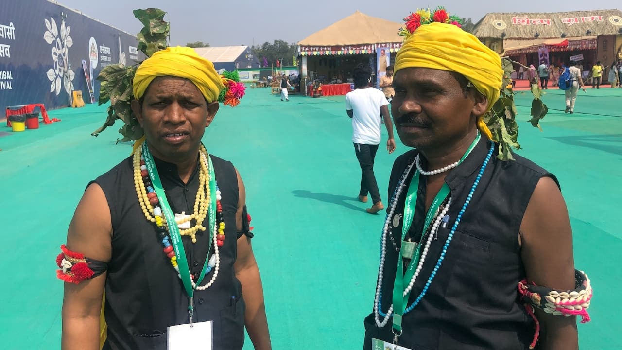 Karma dancers from Chhattisgarh tie green twigs to their head gear to symbolise preservation of the planet.