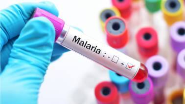 Malaria Vaccine | A long way to go before we declare victory over the disease Malaria Vaccine | A long way to go before we declare victory over the disease