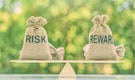 How This High-Risk Strategy Mid-Cap Mutual Fund Handled the Downside Well