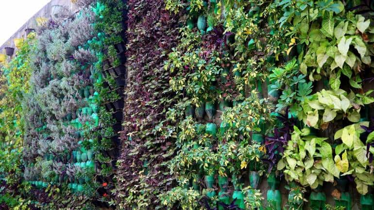 Vertical gardens and micro-forests can help improve air quality.